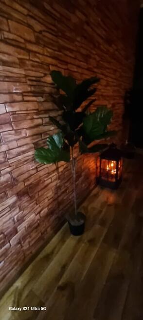 Masażysta Zaprasza na masaż