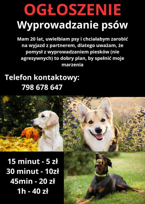 Wyprowadzanie psów