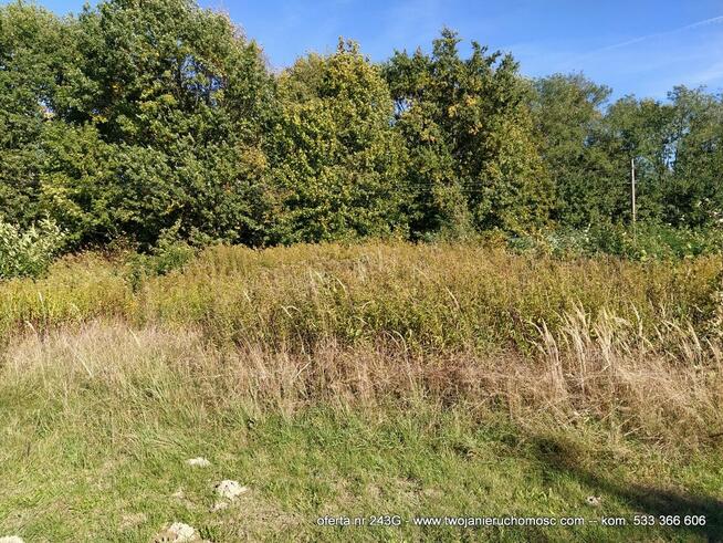 Podgrodzie - działka na sprzedaż