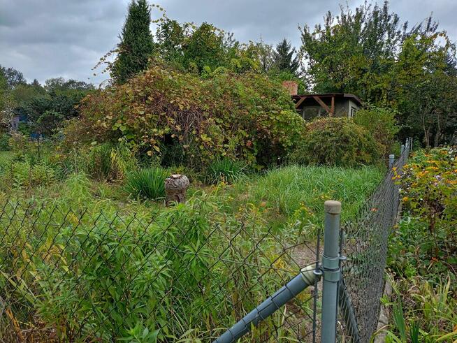 Ogródek działkowy ROD przy CKD