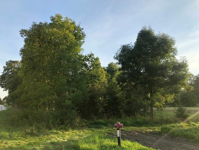 Działka budowalna 2000 m2 na sprzedaż!