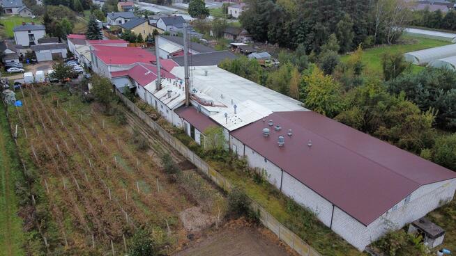 Syndyk sprzeda zakład przetwórstwa mięsnego