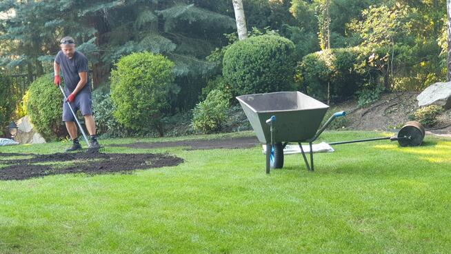 Przycinanie drzew i krzewów, odwodnienie ogrodu trawnik