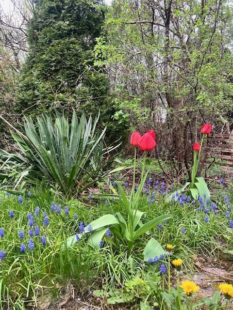 Działka budowlana Warszawa Wawer, Marysin Wawerski