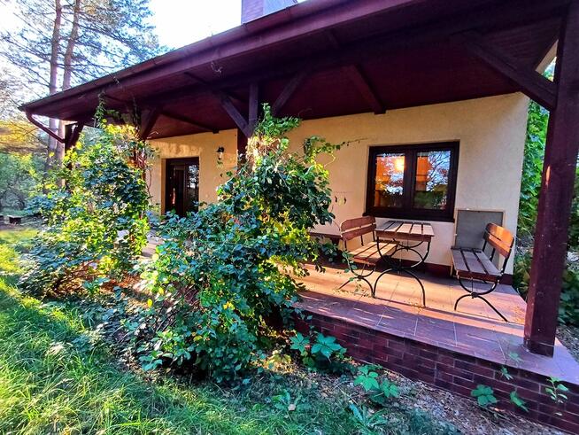 Dom całoroczny przyroda, kominek, piec kaflowy,42a