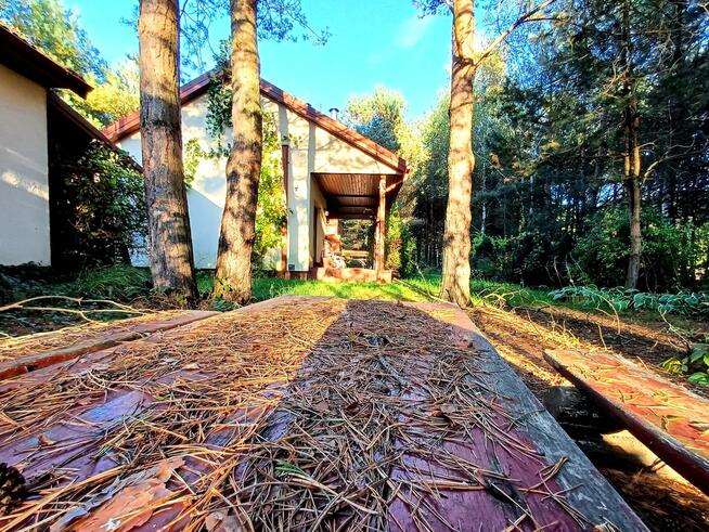 Dom całoroczny przyroda, kominek, piec kaflowy,42a