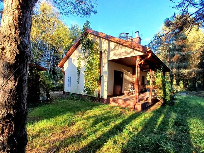 Dom całoroczny przyroda, kominek, piec kaflowy,42a