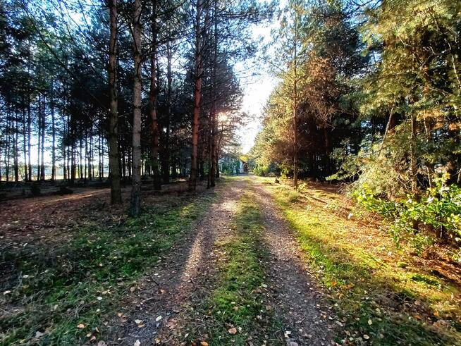 Dom całoroczny przyroda, kominek, piec kaflowy,42a