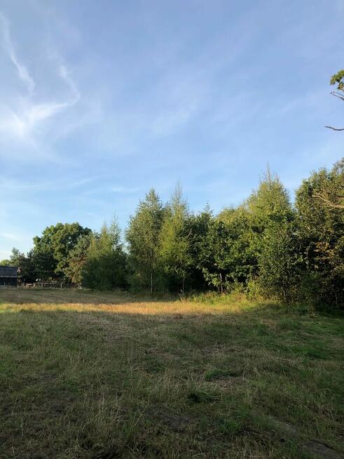 Działka budowalna 2000 m2 na sprzedaż!