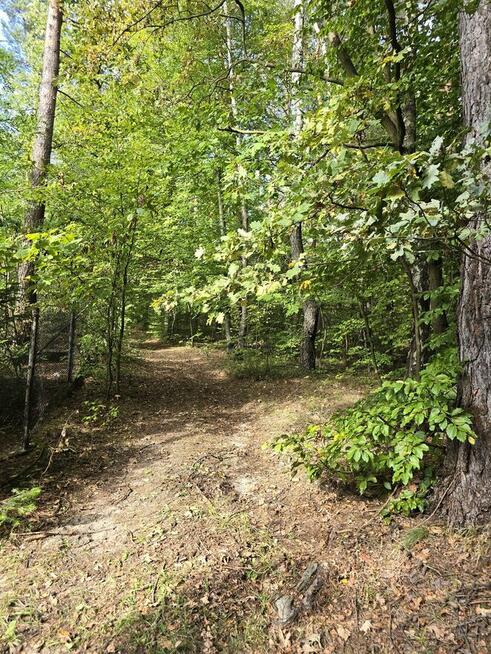 Złożeniec Pilica dom w lesie, inwestycja lub dla rodziny