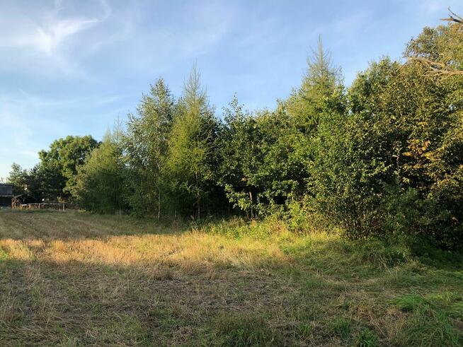 Działka budowalna 2000 m2 na sprzedaż!