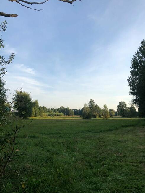 Działka budowalna 2000 m2 na sprzedaż!