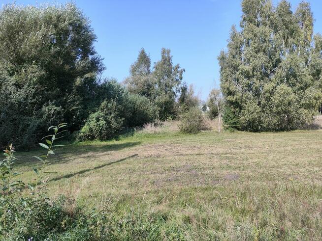 Działka 1,0064 ha w Lutomirów na sprzedaż