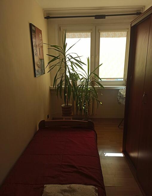 M-3 Darłowo na Koszalin