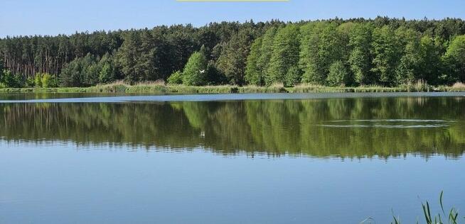 Przepiękna działka w lesie k/zalewu b. tanio!