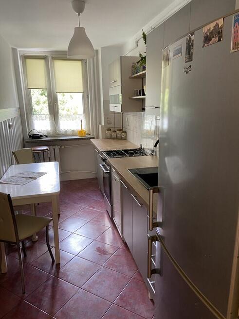 1 pokój do wynajęcia dla studentki