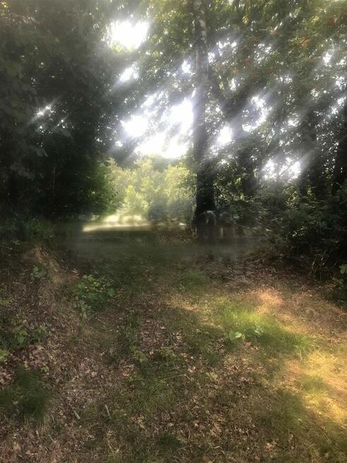 Przepiękna działka w lesie k/zalewu b. tanio!