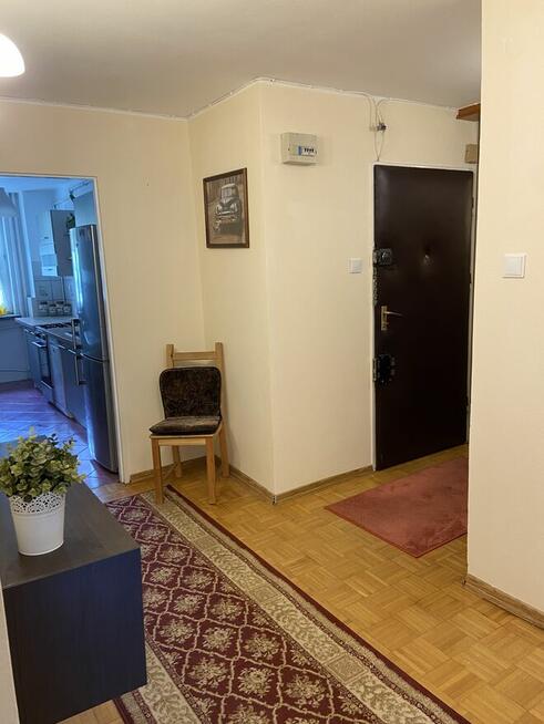 1 pokój do wynajęcia dla studentki