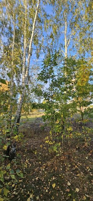 Działka bud.; 1286M2; WZ; LIPA