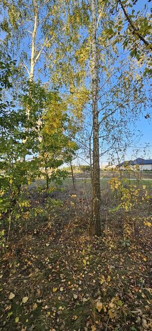 Działka bud.; 1286M2; WZ; LIPA