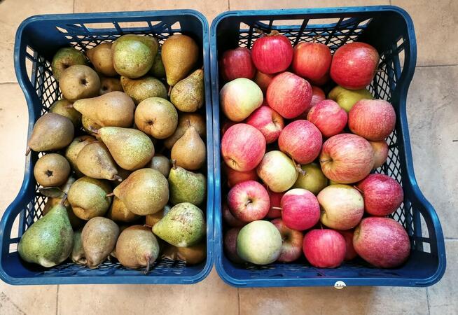 Owoce do biura żyrardów cena 1,50-2 zł.