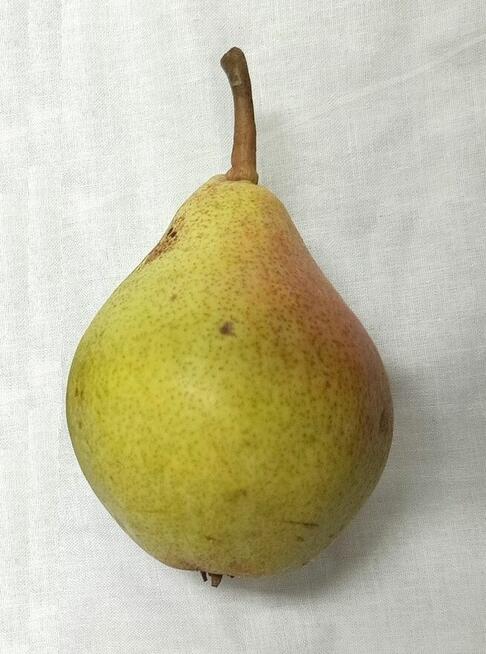 Owoce do biura żyrardów cena 1,50-2 zł.