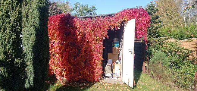 Sprzedam Działkę ROD Sierosław III