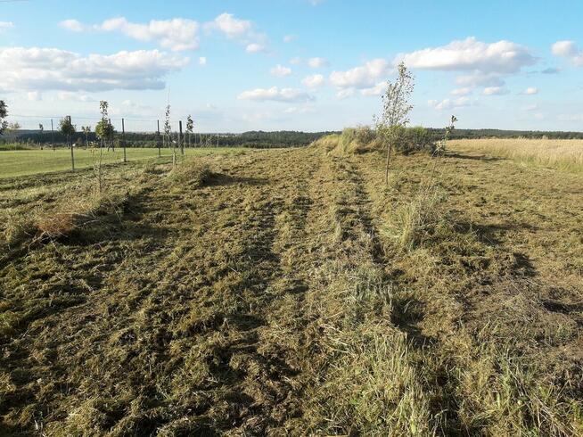 Koszenie kosiarką bijakową