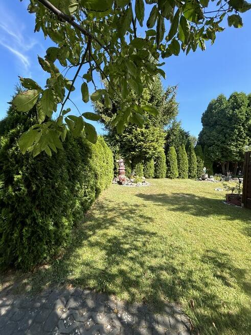 Bez pośredników! Przepiękna działka ROD w Bożenkowie