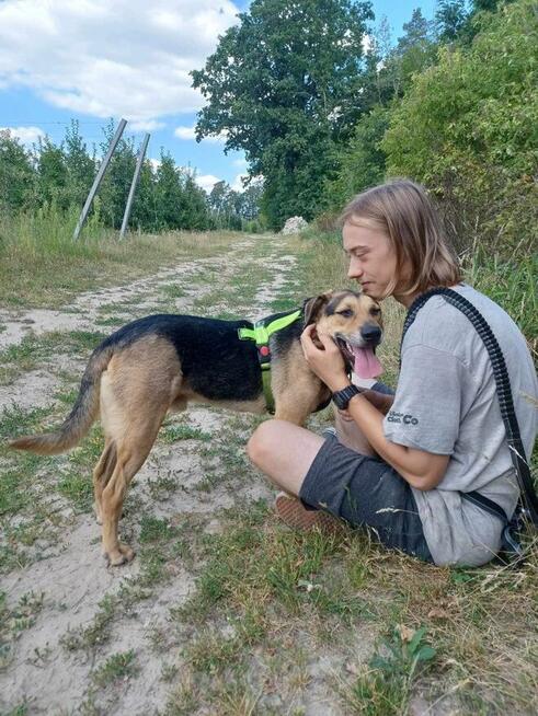 Energiczny młodziutki BRUNO czeka na dom