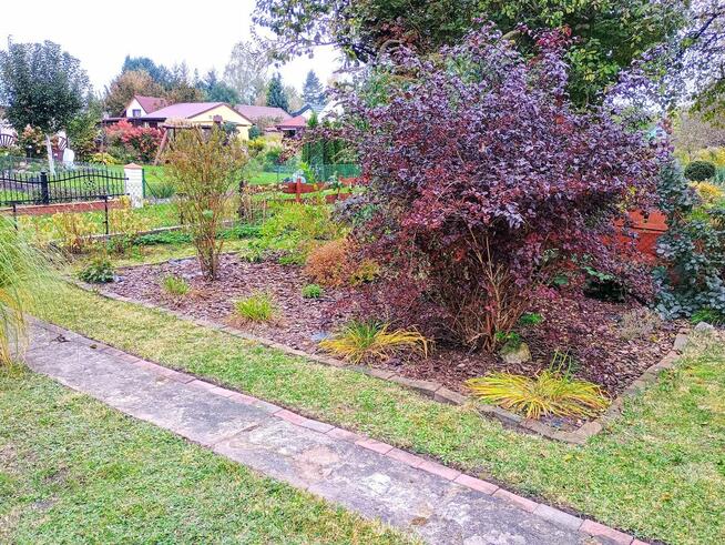 Sprzedam Działkę z domkiem na ROD Górnik przy ul. Działkowej