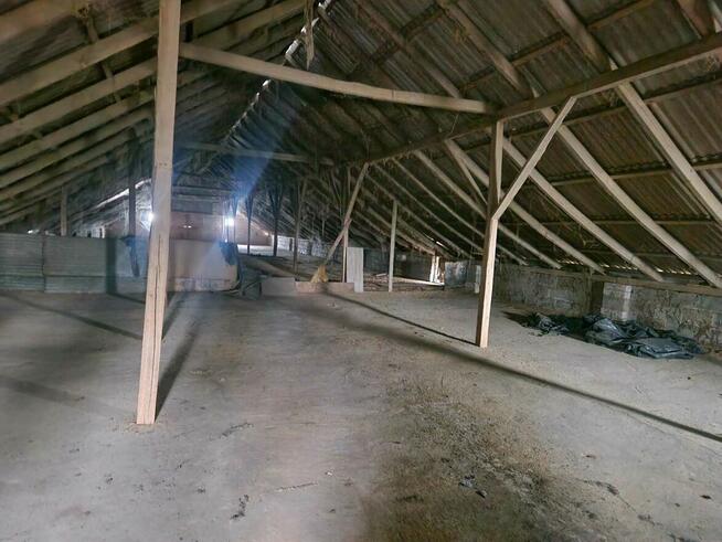 Budynek na magazyn, kurnik lub produkcję