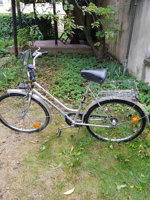 Rower damka Jaguar de Lux