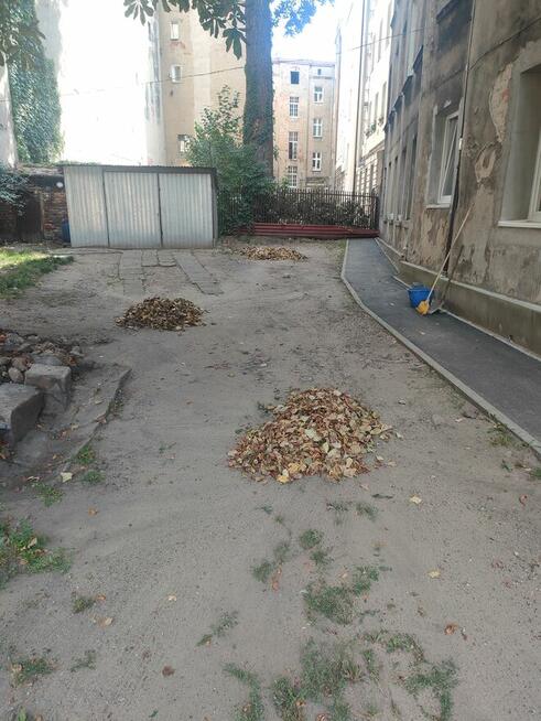 Usługi sprzątania , czyszczenia piwnic komórek lokatorskich