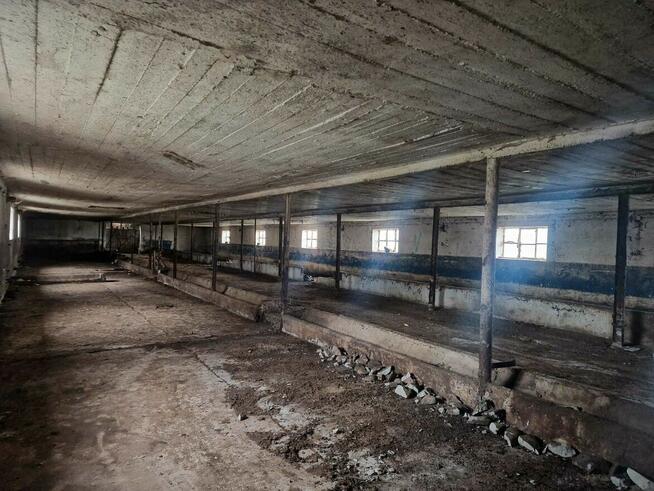 Budynek na magazyn, kurnik lub produkcję