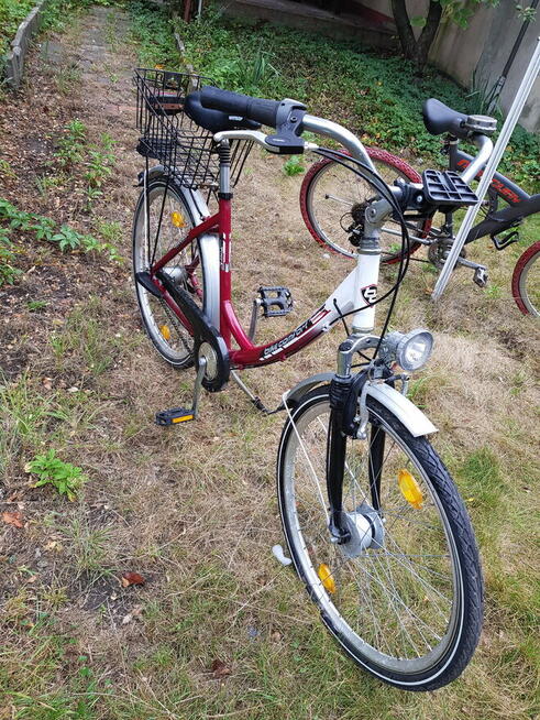 Rower City Bike Comfort