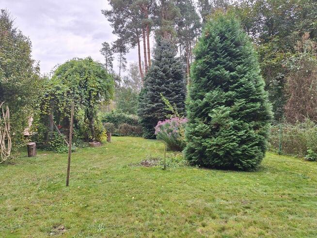 Atrakcyjny dom w spokojnej okolicy pod Poznaniem