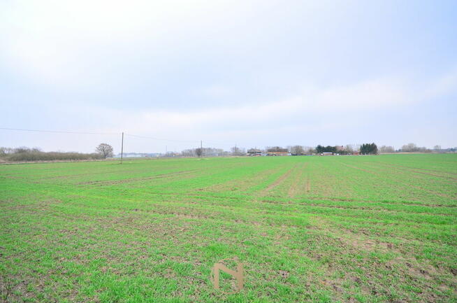 Działka Gorzów wielkopolski Zakanale