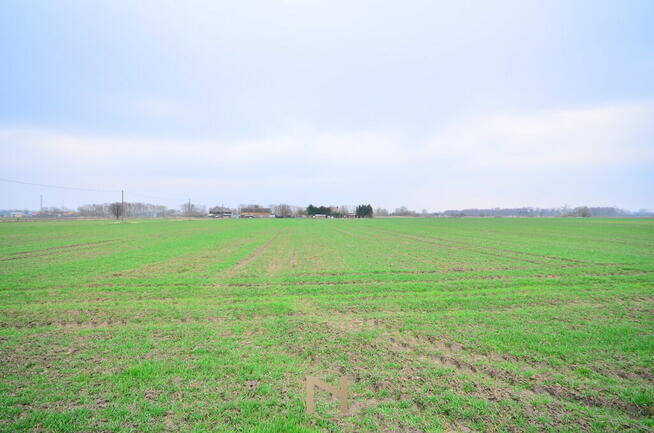 Działka Gorzów wielkopolski Zakanale