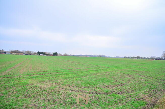 Działka Gorzów wielkopolski Zakanale