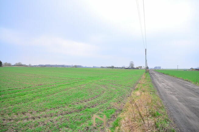 Działka Gorzów wielkopolski Zakanale