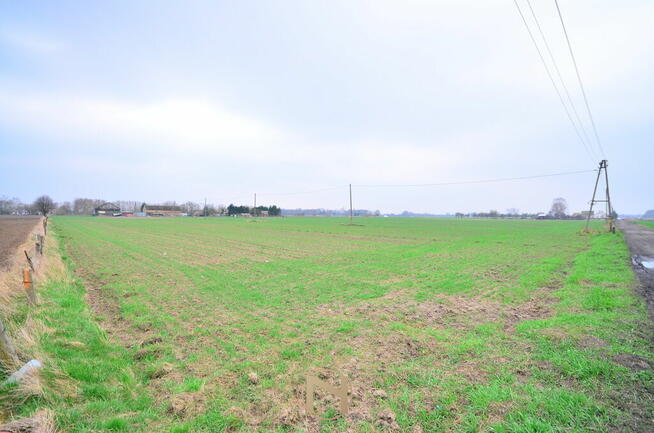 Działka Gorzów wielkopolski Zakanale