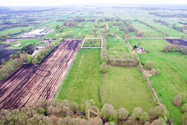 Działka Lipki wielkie