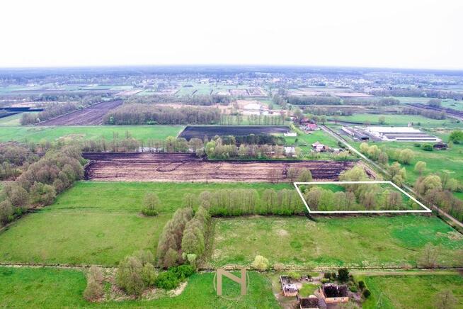 Działka Lipki wielkie