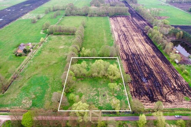 Działka Lipki wielkie