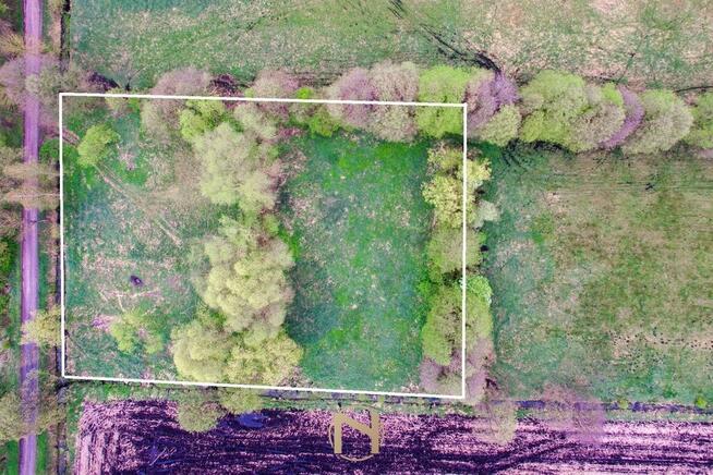 Działka Lipki wielkie