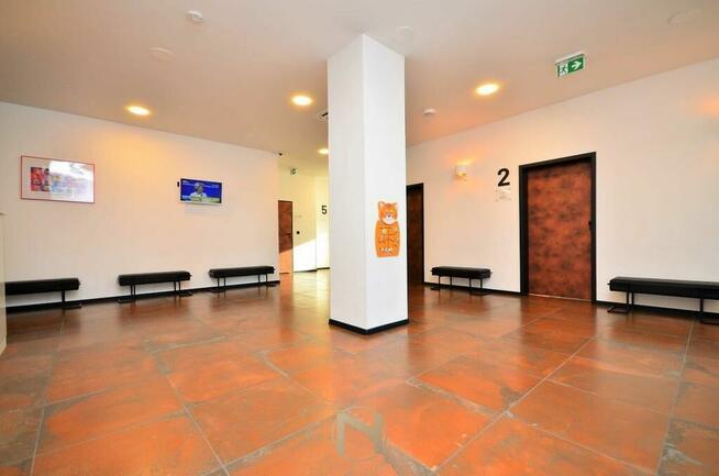 Lokal Gorzów wielkopolski Os. europejskie