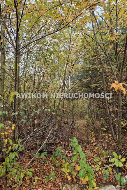 Działka budowlana Jaktorów Chylice