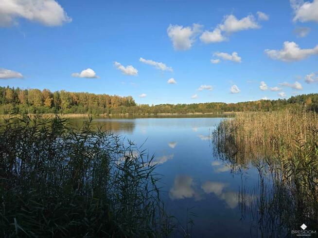 Działka rolna Targowska Wola gm. Dźwierzuty