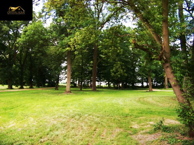 Lokal użytkowy Falborz gm. Brześć Kujawski